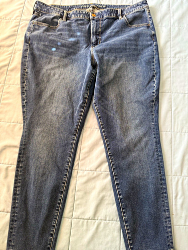 American eagle dream - eagle, stretch