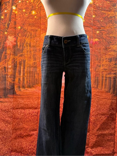 American eagle outfitters dark - eagle,